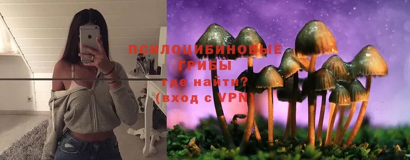 купить наркотик  Елец  ОМГ ОМГ ССЫЛКА  Псилоцибиновые грибы Magic Shrooms 